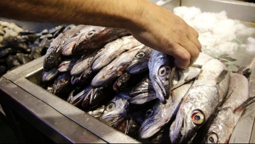 A pocos días de Semana Santa: El precio de los pescados sigue en fuerte alza