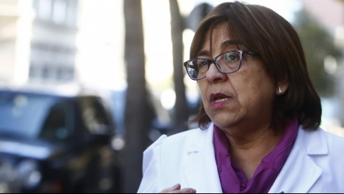 Exseremi de salud por denuncia de anticucho con carne de perro: 'Estas prácticas se han normalizado en el tiempo'