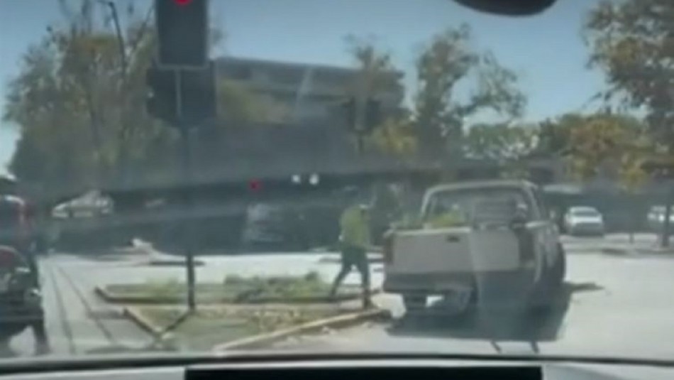 Robo de plantas en la vía pública: Videos muestran lo que sucede en Providencia y Maipú Robo de plantas en la vía pública: Videos muestran lo que sucede en Providencia y Maipú