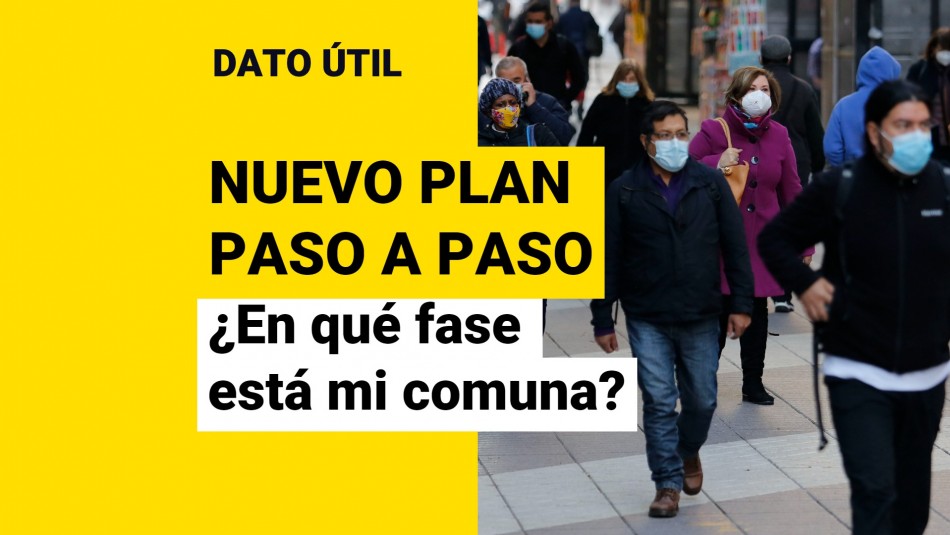 Nuevo Plan Paso a Paso: Revisa en qué fase está tu comuna Nuevo Plan Paso a Paso: Revisa en qué fase está tu comuna