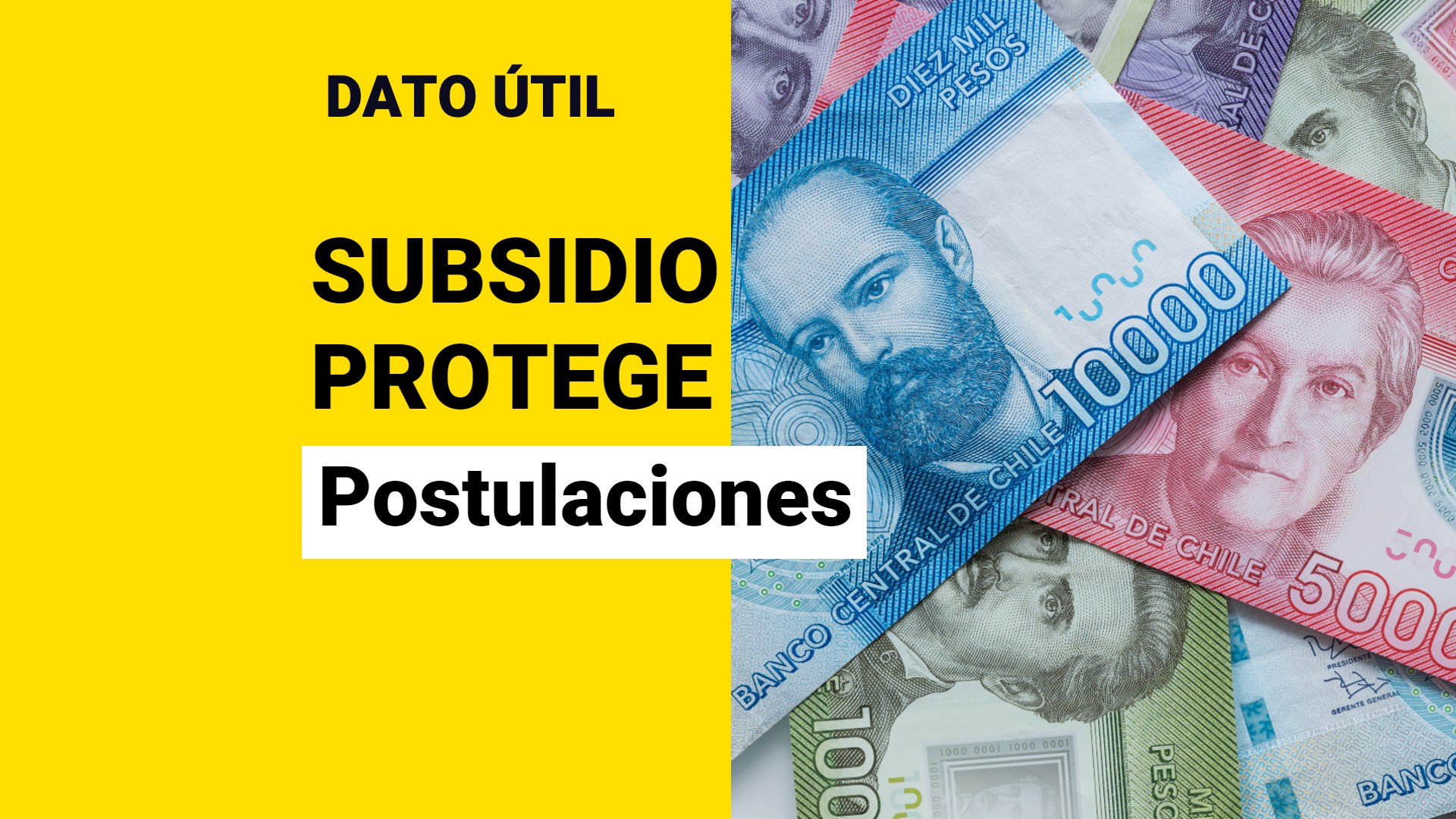 Comienzan Pagos Del Subsidio Protege: ¿Cómo Puedo Postular? - Meganoticias