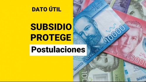 Comienzan pagos del Subsidio Protege: ¿Cómo puedo postular?