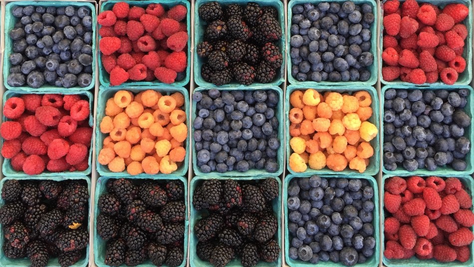 alimentos-altos-antioxidantes alimentos altos antioxidantes