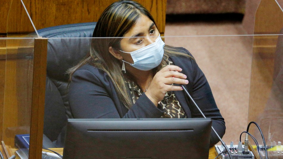 fabiola-campillai Senadora Campillai propone que se enseñe Derechos Humanos en colegios: