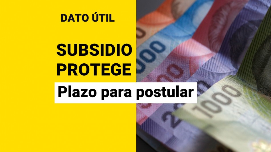 subsidio-protege subsidio protege