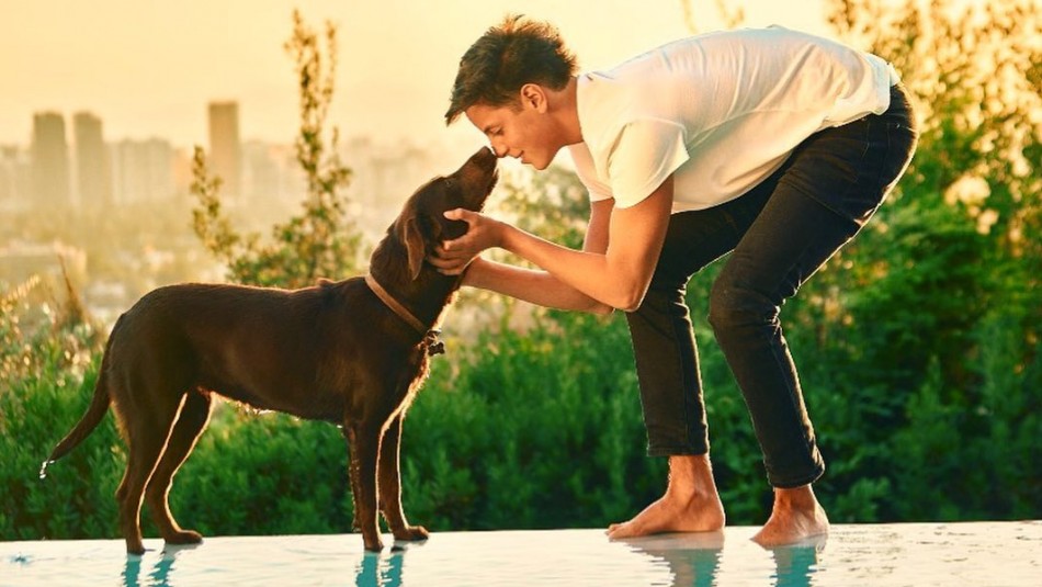 ¡Todo un doglover!: Máximo Bolocco comparte tierno video de su mascota ¡Todo un doglover!: Máximo Bolocco comparte tierno video de su mascota