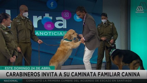 Rodrigo Sepúlveda recibe a perritos de Carabineros para hablar sobre tenencia responsable