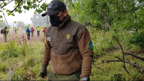'Tenemos una denuncia por presunta desgracia': buscan a grupo de arrieros desaparecido hace más de 20 días
