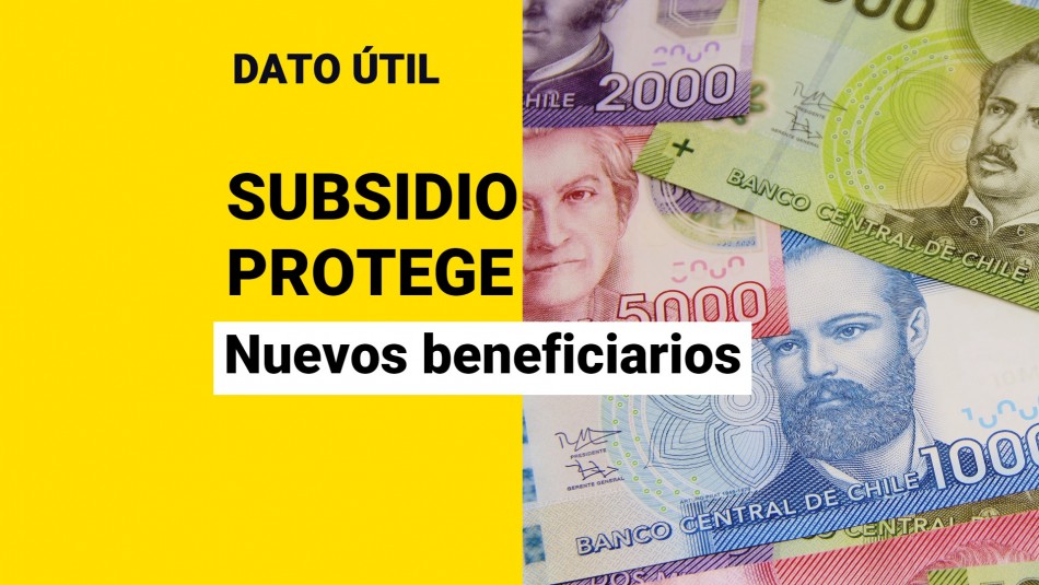 subsidio-protege subsidio protege