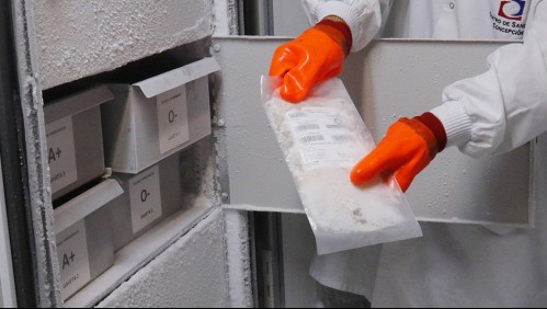 En estado grave se encuentra trabajador de Hospital de Río Bueno por contagio de Virus Hanta