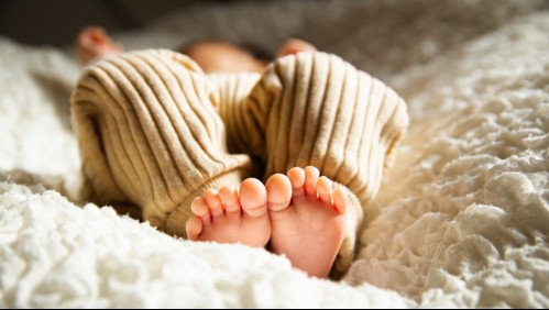 'Su estado de salud es delicado': madre salva a bebé atacado por un pitbull mientras dormía en su cuna