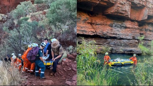 Fue de paseo con su esposo e hijo a un parque, pero la mordió una de las serpientes más venenosas de Australia