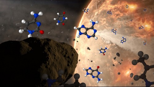Meteoritos podrían haber traído la vida a la Tierra: NASA descubre componentes de ADN y ARN en asteroides