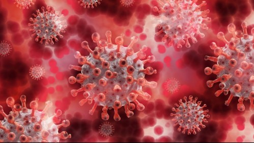 Nuevo sublinaje de Ómicron BA.2 aumenta contagios en EEUU: ¿Se acerca una nueva ola de infecciones?
