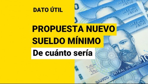 Propuesta de la oposición para aumento del sueldo mínimo: ¿A cuánto se quiere subir el salario?