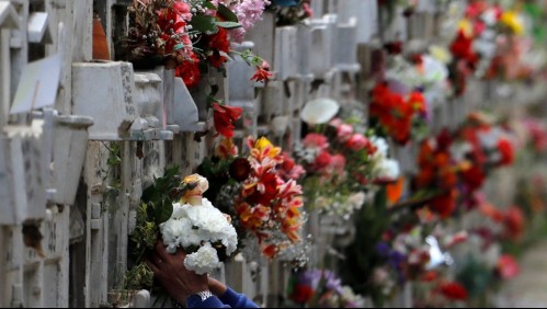 Masivas visitas a cementerios en el día de la madre: Doble de Camilo Sesto cantó en uno de ellos