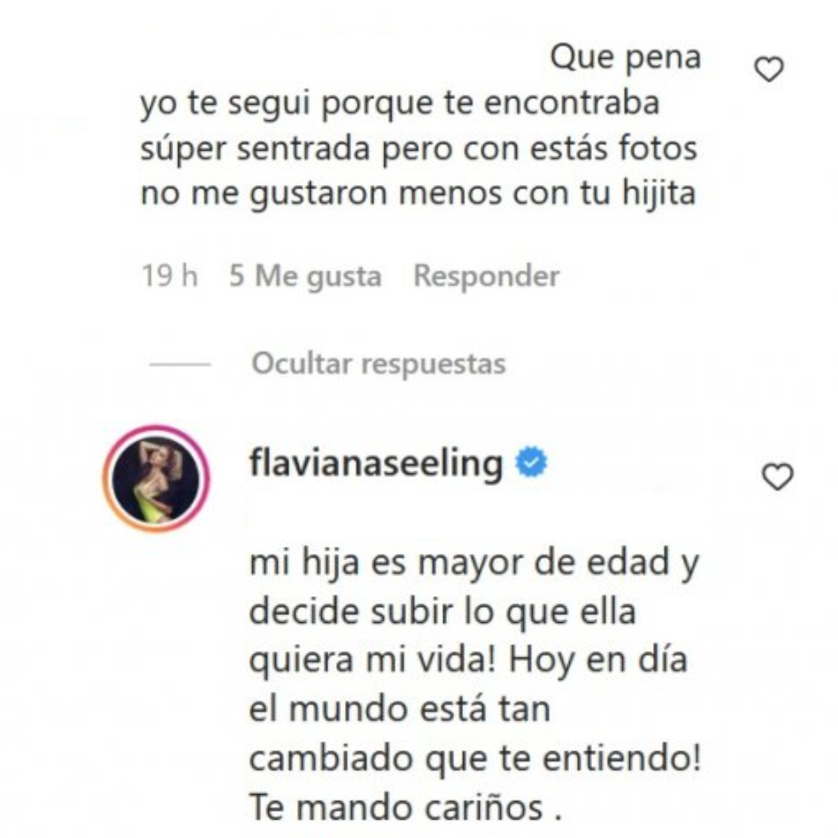 El comentario contra Flaviana Seeling