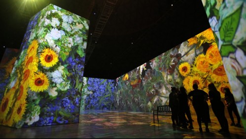 'Meet Vincent van Gogh' llega a Chile: ¿Desde cuándo se puede visitar y cuál es el precio de las entradas?