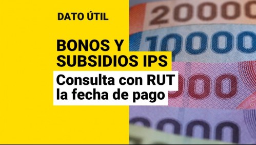 Solo con tu RUT: Revisa la fecha de pago de tus bonos y subsidios del IPS