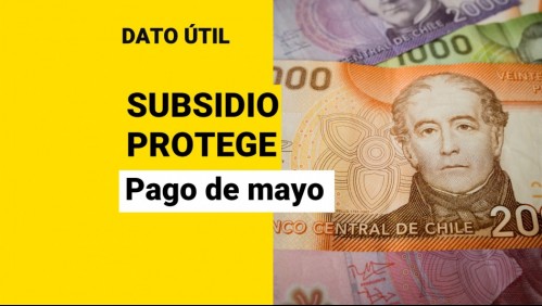 Pagos del Subsidio Protege: Conoce cómo postular a los $200.000 mensuales