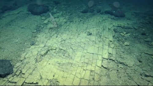 ¿Son restos de la Atlántida? Científicos encuentran supuesto camino de baldosas bajo el mar en Hawái