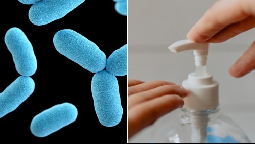 Por qué es tan peligrosa la bacteria encontrada en los productos de limpieza que el ISP ordenó retirar