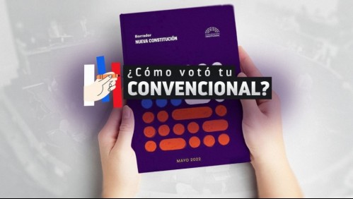 Especial: Revisa cómo votó tu constitucional en los temas clave