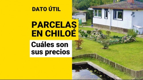 Parcelas en Chiloé: ¿Cuáles son sus valores y en qué comunas están?