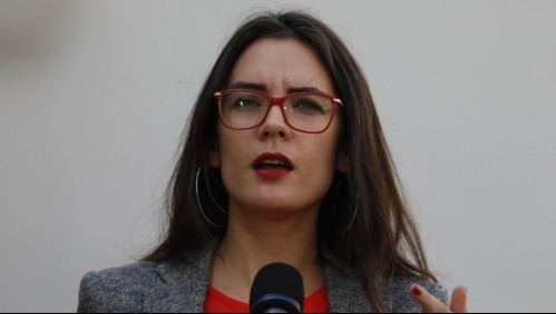 Ministra Vallejo defiende Estado de Excepción en Macrozona Sur: 'No estamos declarando guerra'