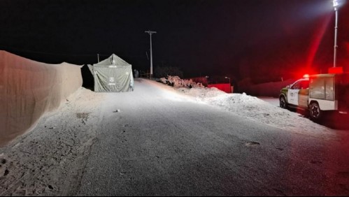 Niño de dos años muere tras ser atacado por una jauría de perros en Arica