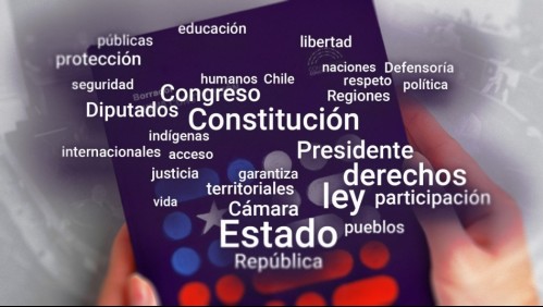 'Estado', 'Congreso', 'participación' y 'derechos': Las palabras que más se repiten en el borrador de la Constitución