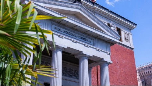 'Es innecesario': RAE responde a la Subsecretaría de la Niñez por uso del término 'les niñes'