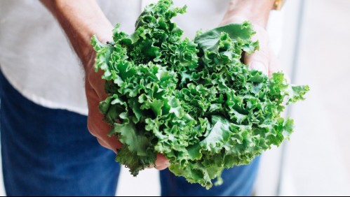 Superalimentos: Los 4 beneficios comprobados del kale para tu salud