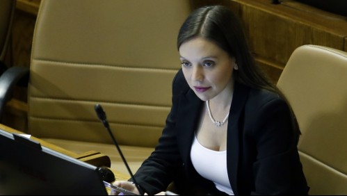 Diputada Camila Flores: 'La delincuencia y el terrorismo le han ganado a Boric'