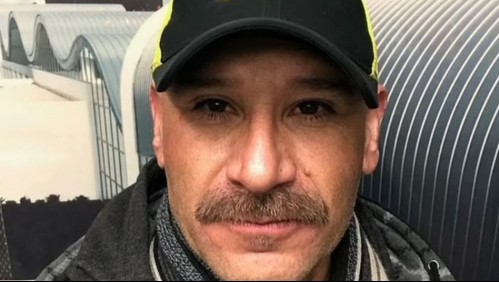 'Fue horrible': Hombre muere al ser atacado por un enjambre de abejas mientras trabajaba en un árbol