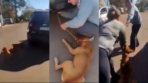 Captan a hombre arrastrando a su perro con su camioneta: Los vecinos intervinieron y lograron salvar al animal
