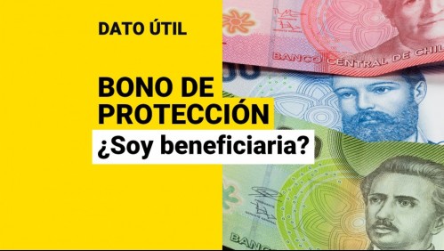 Bono de Protección: ¿Cómo saber si recibo los pagos mensuales?