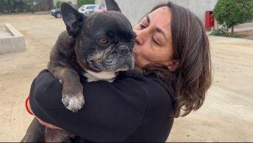 Mujer sufre portonazo, le roban a su perro y después lo encuentran siendo vendido en la calle