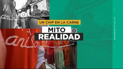 Chip de perro en anticucho callejero: ¿Qué carne nos venden en la calle?