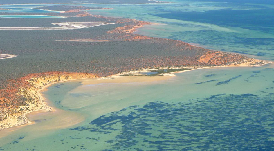 Vista aérea de la bahía Tiburón. 