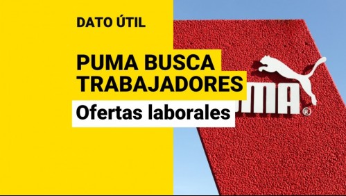 Puma busca trabajadores: Conoce las ofertas laborales que están disponibles