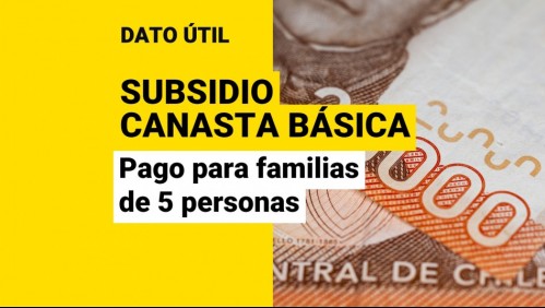 Subsidio Canasta Básica: Conoce el monto que reciben las familias de cinco personas
