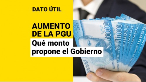 Aumento de la PGU: ¿A qué monto se comprometió a llegar el Gobierno?