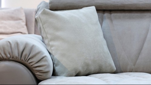 Encontró una millonaria suma de dinero escondida dentro de un sofá que consiguió gratis por Internet