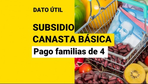 Subsidio Canasta Básica: ¿Cuánto dinero recibe una familia de 4 personas?