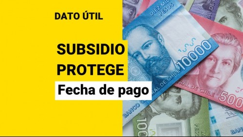 Subsidio Protege: ¿Cuándo se realiza el pago del aporte de 200 mil?