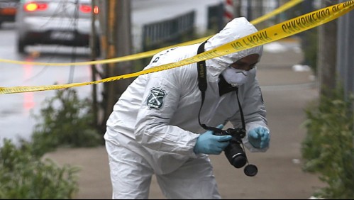 Robaron valiosas joyas precolombinas: Sujetos asaltan el Museo Andino de la Viña Santa Rita