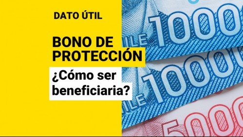 Bono de Protección: ¿Cómo se accede al beneficio prioritario para dueñas de casa?