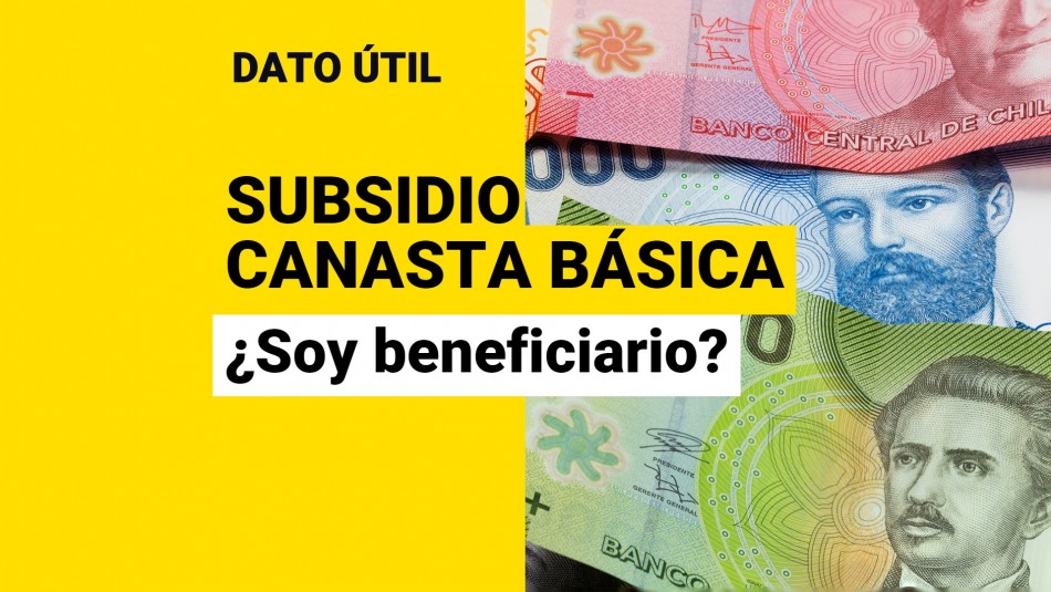 subsidio canasta basica 2022 consultar con rut