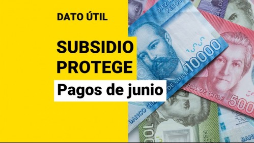 Subsidio Protege tiene pagos esta semana: ¿Quiénes reciben los $200 mil del aporte?